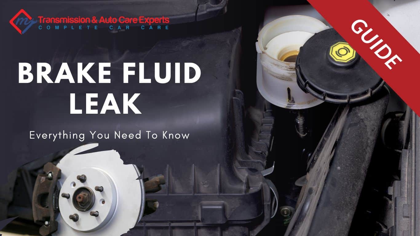 Brake Fluid Leak Guide